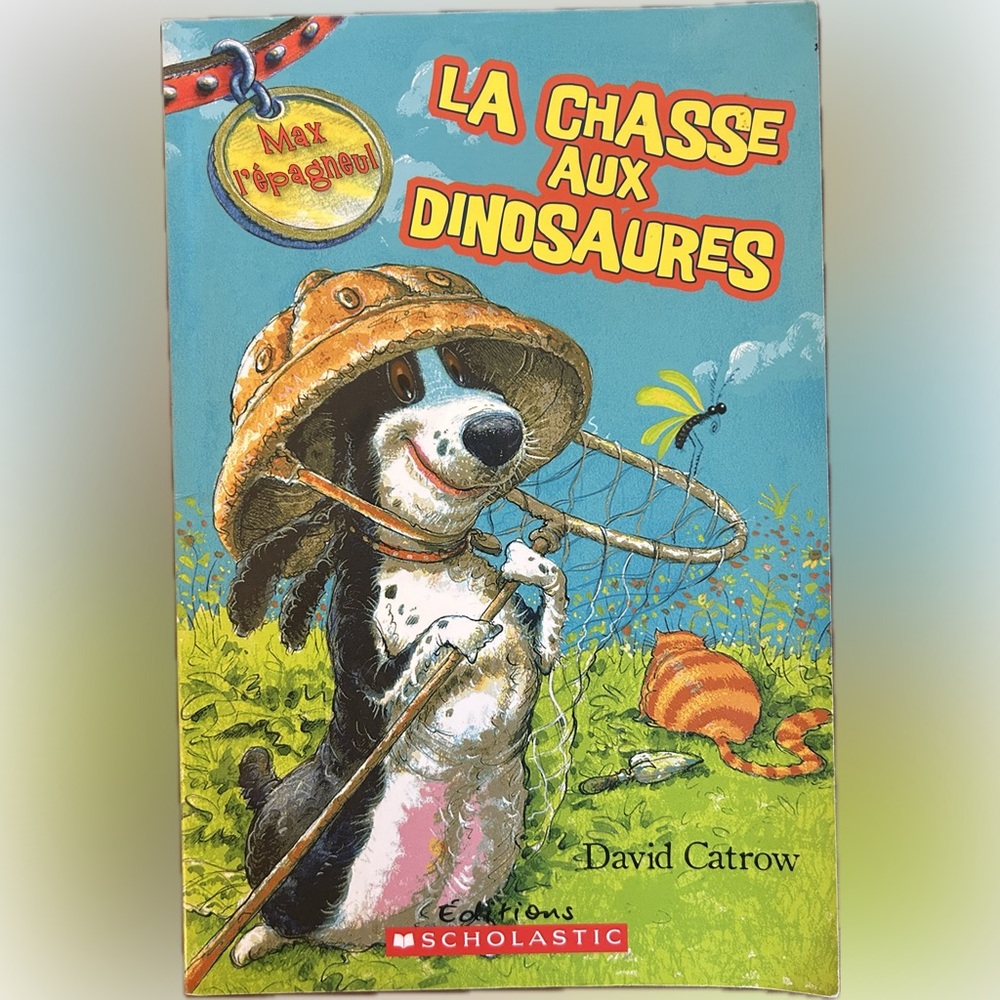 BUNDLE & SAVE🎉 FRENCH La Chasse Aux Dinosaures Book by David Catrow